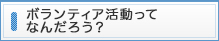 ボランティアしたい！